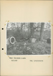 Ewidencja parkowa, skan nr 21