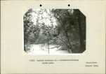 Ewidencja parkowa, skan nr 16