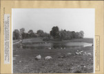 Ewidencja parkowa, skan nr 15