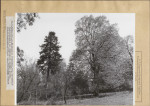 Ewidencja parkowa, skan nr 19