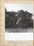 Ewidencja parkowa, skan nr 20