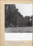 Ewidencja parkowa, skan nr 26
