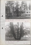 Ewidencja parkowa, skan nr 15
