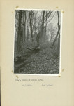 Ewidencja parkowa, skan nr 28