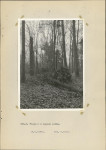 Ewidencja parkowa, skan nr 29