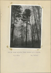 Ewidencja parkowa, skan nr 33