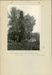 Ewidencja parkowa, skan nr 26