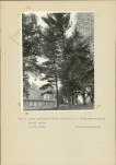 Ewidencja parkowa, skan nr 30