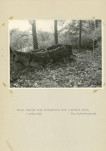 Ewidencja parkowa, skan nr 31