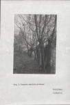 Ewidencja parkowa, skan nr 29