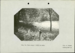 Ewidencja parkowa, skan nr 23