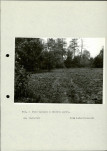 Ewidencja parkowa, skan nr 23