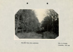 Ewidencja parkowa, skan nr 16