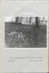 Ewidencja parkowa, skan nr 23