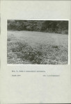 EP - Ewidencja parkowa, skan nr 19