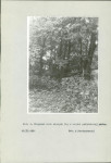 EP - Ewidencja parkowa, skan nr 20