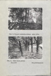 Ewidencja parkowa, skan nr 18