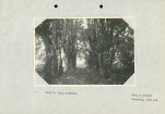 Ewidencja parkowa, skan nr 20