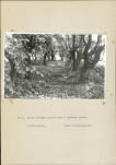 Ewidencja parkowa, skan nr 24