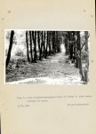 Ewidencja parkowa, skan nr 25