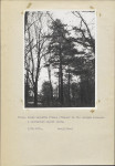 Ewidencja parkowa, skan nr 26