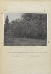 Ewidencja parkowa, skan nr 23