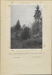 Ewidencja parkowa, skan nr 24