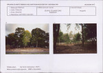 KB - Karta biała, skan nr 13