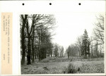 Ewidencja parkowa, skan nr 23