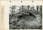 Ewidencja parkowa, skan nr 29