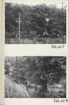 Ewidencja parkowa, skan nr 23