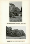 Ewidencja parkowa, skan nr 34