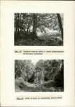 Ewidencja parkowa, skan nr 36