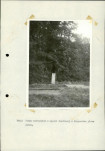 Ewidencja parkowa, skan nr 26