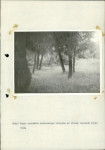 Ewidencja parkowa, skan nr 33