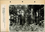 Ewidencja parkowa, skan nr 52