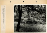 Ewidencja parkowa, skan nr 54