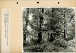 Ewidencja parkowa, skan nr 55