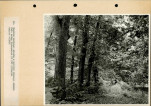 Ewidencja parkowa, skan nr 56