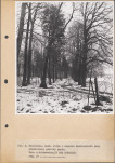 Ewidencja parkowa, skan nr 17