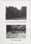 Ewidencja parkowa, skan nr 29
