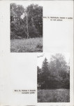 Ewidencja parkowa, skan nr 30