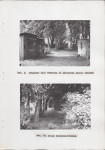 Ewidencja parkowa, skan nr 31