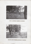 Ewidencja parkowa, skan nr 32