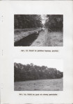 Ewidencja parkowa, skan nr 33