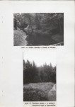 Ewidencja parkowa, skan nr 32