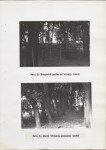 Ewidencja parkowa, skan nr 32
