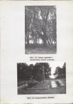 Ewidencja parkowa, skan nr 36