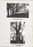 Ewidencja parkowa, skan nr 30