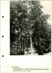 Ewidencja parkowa, skan nr 38